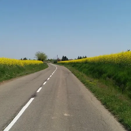 Paulette 度假居 *